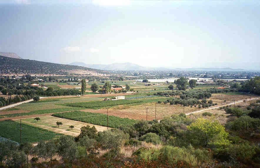 marathonplain1.jpg (45980 bytes)